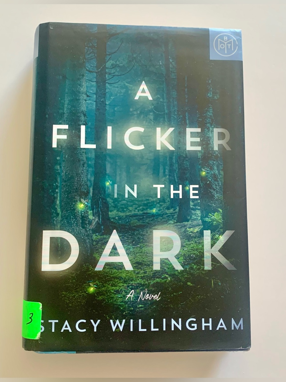 A Flicker in the Dark Hardcover Book